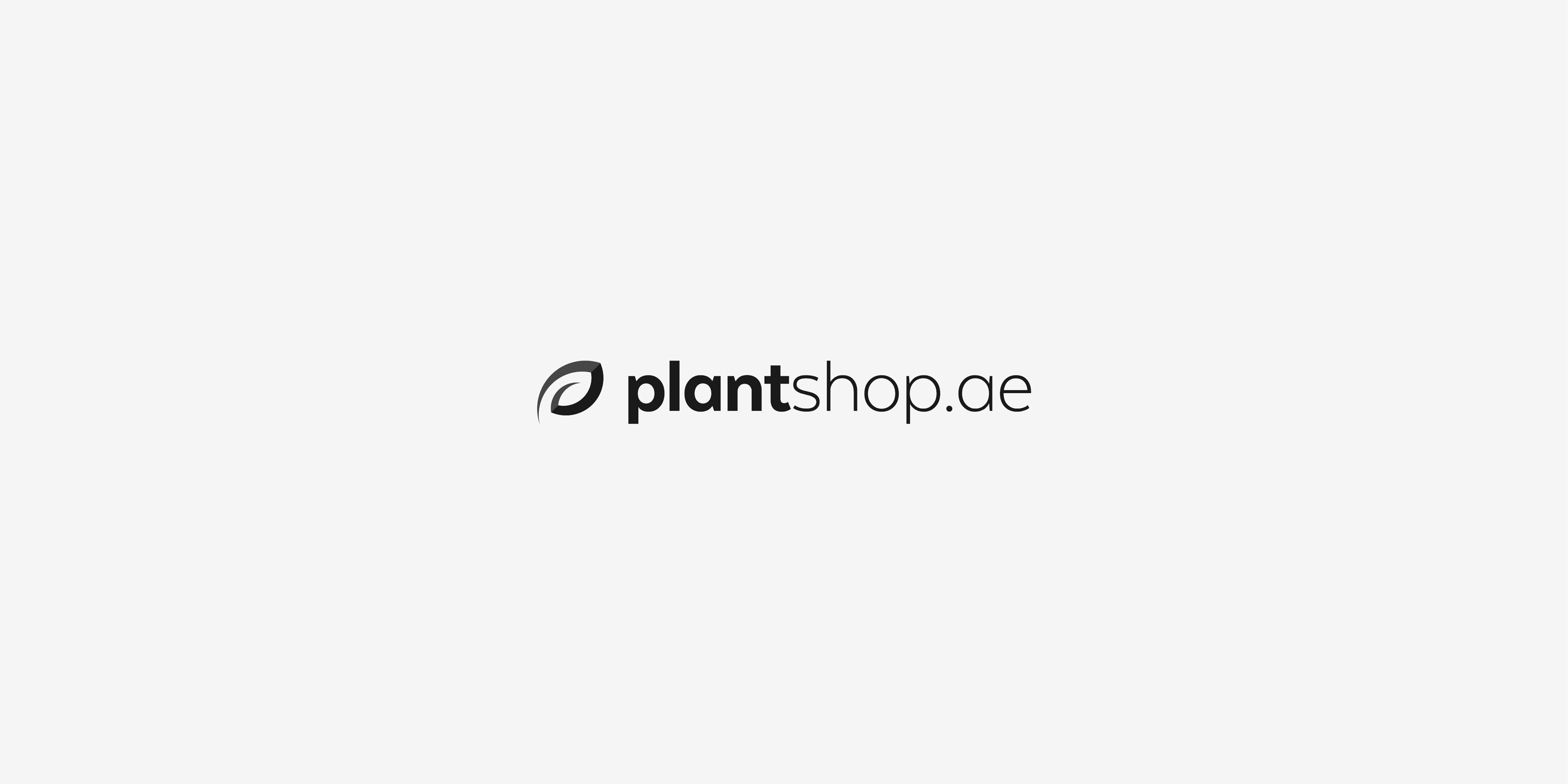 HatimK-Portfolio-Logofolio-Vol.2-PLANTSHOP.AE-2