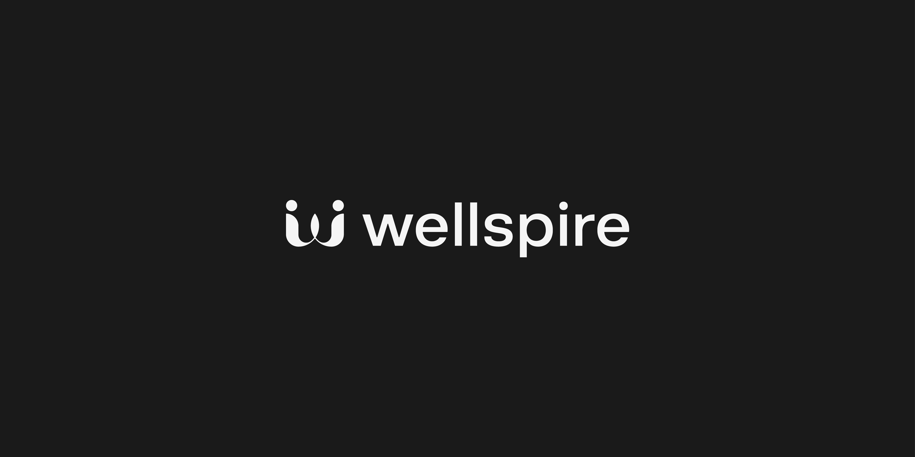 HatimK-Portfolio-Logofolio-Vol.1-Wellspire-1 HatimK-Portfolio-Logofolio-Vol.1-Wellspire-1
